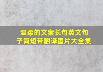 温柔的文案长句英文句子简短带翻译图片大全集