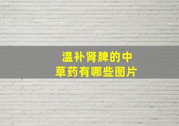 温补肾脾的中草药有哪些图片