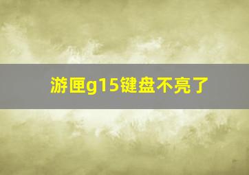 游匣g15键盘不亮了