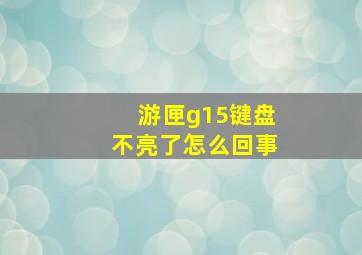 游匣g15键盘不亮了怎么回事