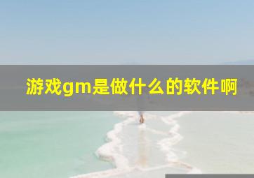 游戏gm是做什么的软件啊