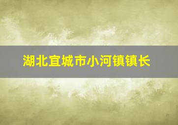 湖北宜城市小河镇镇长