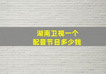 湖南卫视一个配音节目多少钱