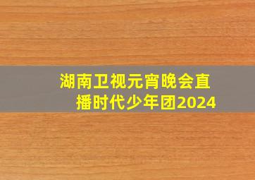 湖南卫视元宵晚会直播时代少年团2024