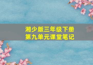 湘少版三年级下册第九单元课堂笔记