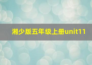 湘少版五年级上册unit11