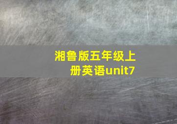 湘鲁版五年级上册英语unit7