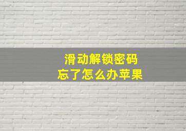 滑动解锁密码忘了怎么办苹果