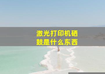 激光打印机硒鼓是什么东西