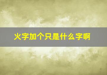 火字加个只是什么字啊