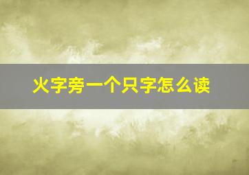 火字旁一个只字怎么读