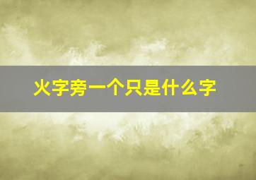 火字旁一个只是什么字