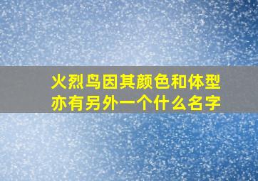 火烈鸟因其颜色和体型亦有另外一个什么名字