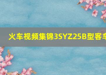 火车视频集锦3SYZ25B型客车