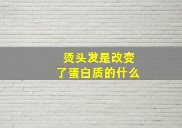 烫头发是改变了蛋白质的什么