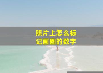 照片上怎么标记画圈的数字