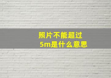 照片不能超过5m是什么意思