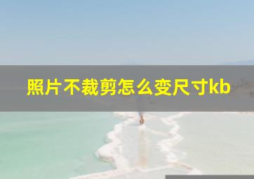 照片不裁剪怎么变尺寸kb