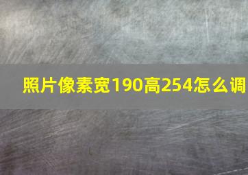 照片像素宽190高254怎么调