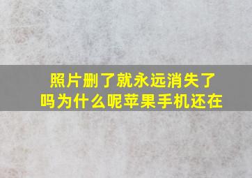 照片删了就永远消失了吗为什么呢苹果手机还在