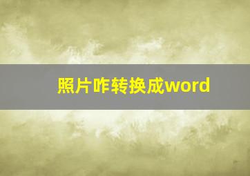 照片咋转换成word