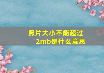 照片大小不能超过2mb是什么意思