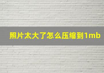 照片太大了怎么压缩到1mb