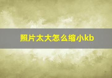 照片太大怎么缩小kb