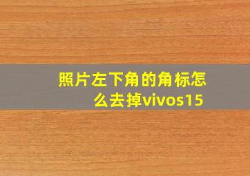 照片左下角的角标怎么去掉vivos15