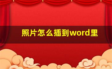 照片怎么插到word里