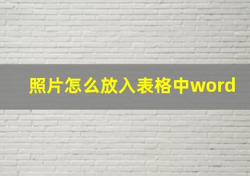 照片怎么放入表格中word