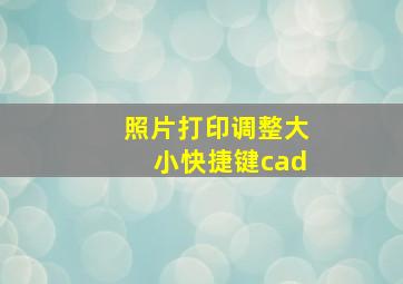 照片打印调整大小快捷键cad