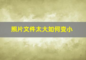 照片文件太大如何变小