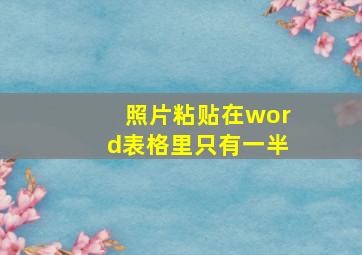 照片粘贴在word表格里只有一半