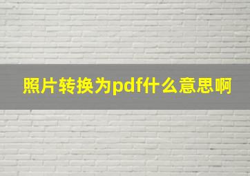 照片转换为pdf什么意思啊