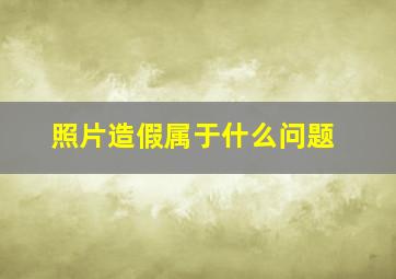 照片造假属于什么问题