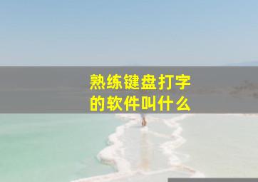 熟练键盘打字的软件叫什么