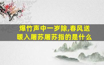 爆竹声中一岁除,春风送暖入屠苏屠苏指的是什么