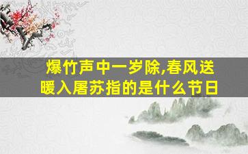 爆竹声中一岁除,春风送暖入屠苏指的是什么节日