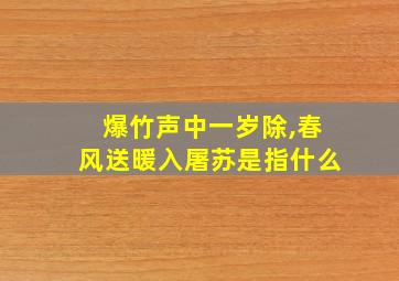 爆竹声中一岁除,春风送暖入屠苏是指什么