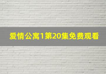 爱情公寓1第20集免费观看