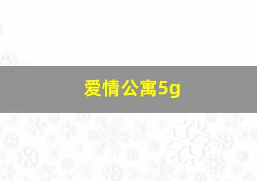 爱情公寓5g