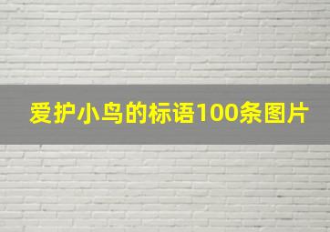 爱护小鸟的标语100条图片