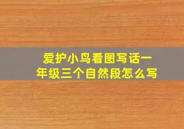 爱护小鸟看图写话一年级三个自然段怎么写