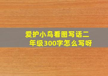 爱护小鸟看图写话二年级300字怎么写呀