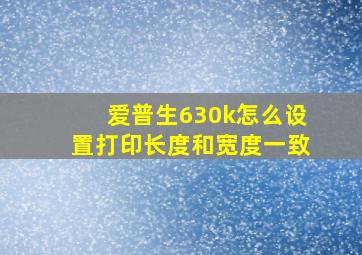 爱普生630k怎么设置打印长度和宽度一致