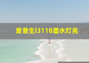 爱普生l3118墨水灯亮