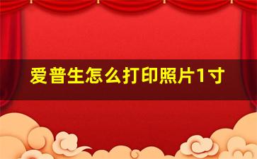 爱普生怎么打印照片1寸