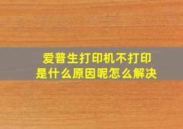 爱普生打印机不打印是什么原因呢怎么解决