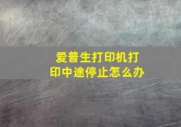 爱普生打印机打印中途停止怎么办